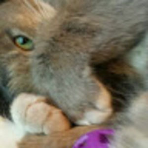 Meet your Posher, Elaina